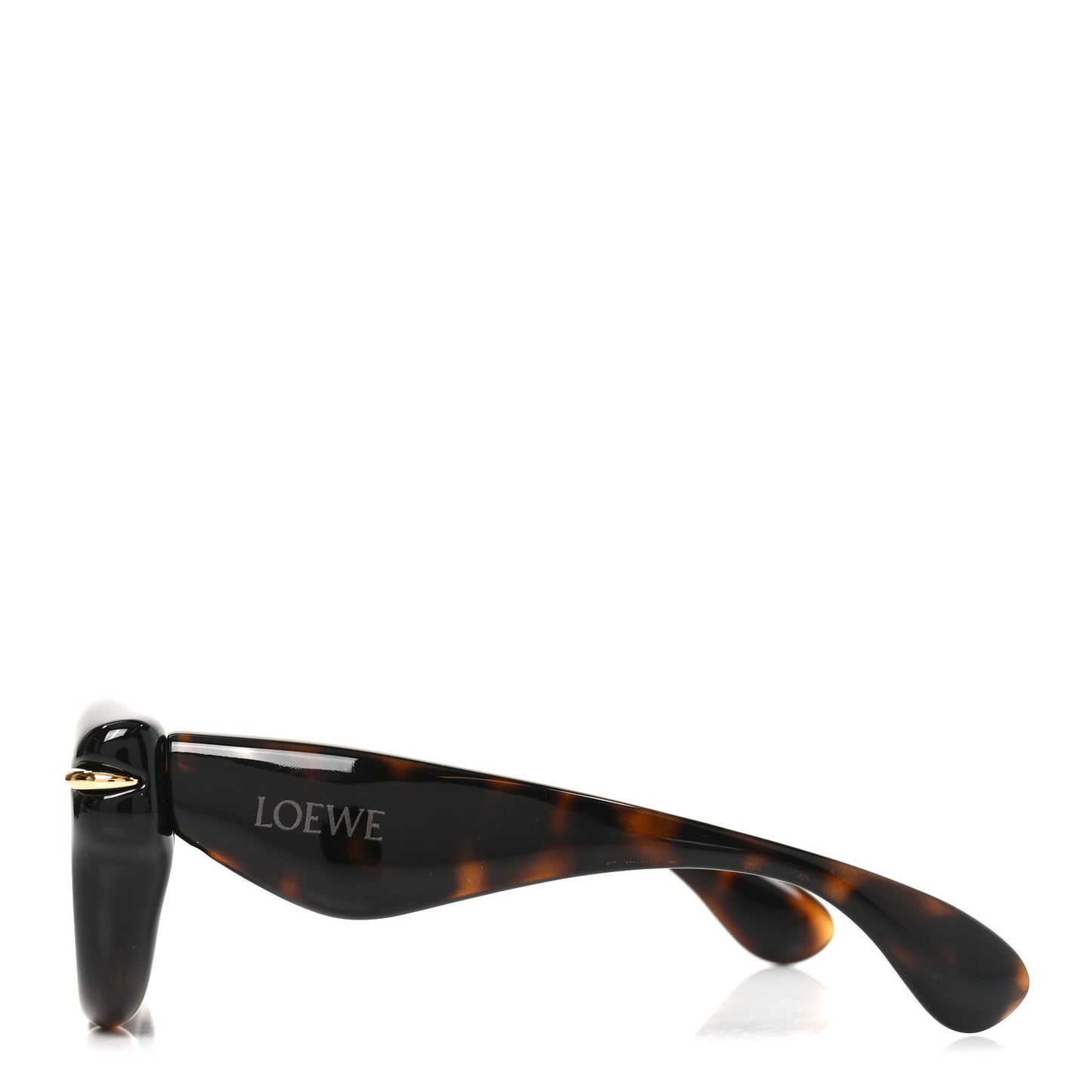 Acetate Inflated Cat-Eye Sunglasses LW40118I Tortoise