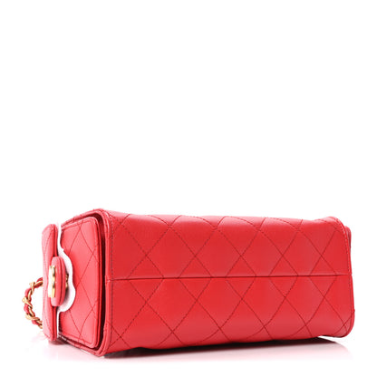 Chanel Caviar Quilted Mini Chanel 25 Handbag Dark Red 4 of 11