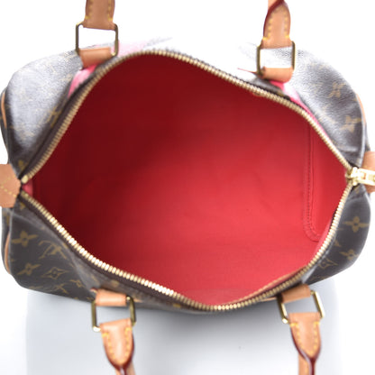 Louis Vuitton Monogram Speedy 30 V Grenade 5 of 15