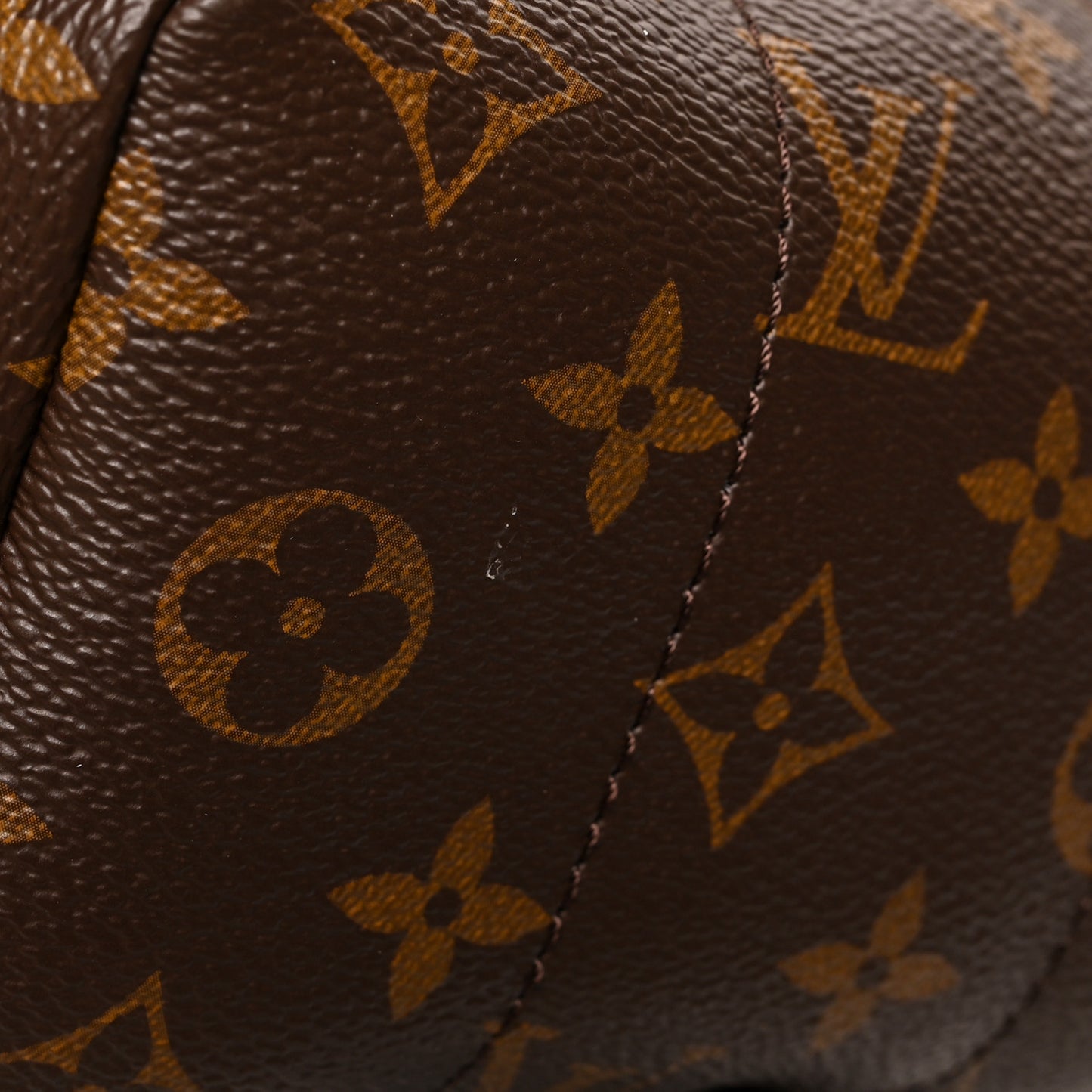 Reverse Monogram Palm Springs Backpack PM