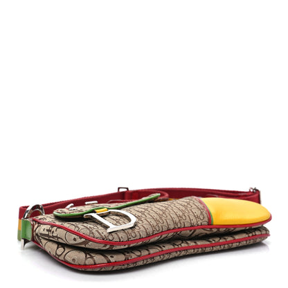 Christian Dior Monogram Rasta Double Saddle Beige 4 of 9