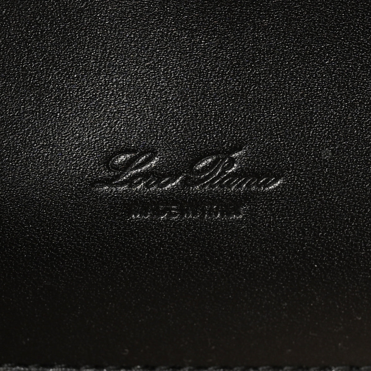 Loro Piana Calfskin Extra Bag L27 Black 6 of 10