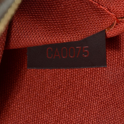 Louis Vuitton Damier Ebene Ribera MM 7 of 7