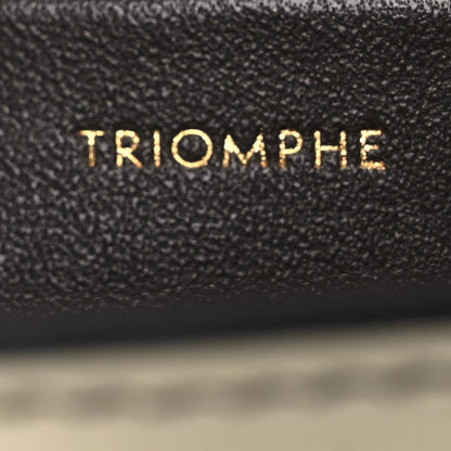 Celine Lizard Mini Triomphe Natural 8 of 13