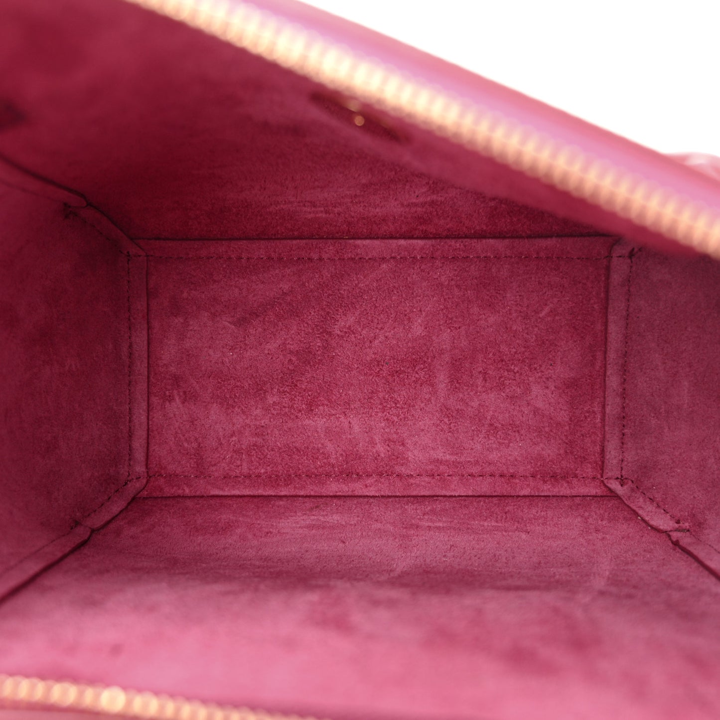 Grained Calfskin Nano Belt Bag Acai