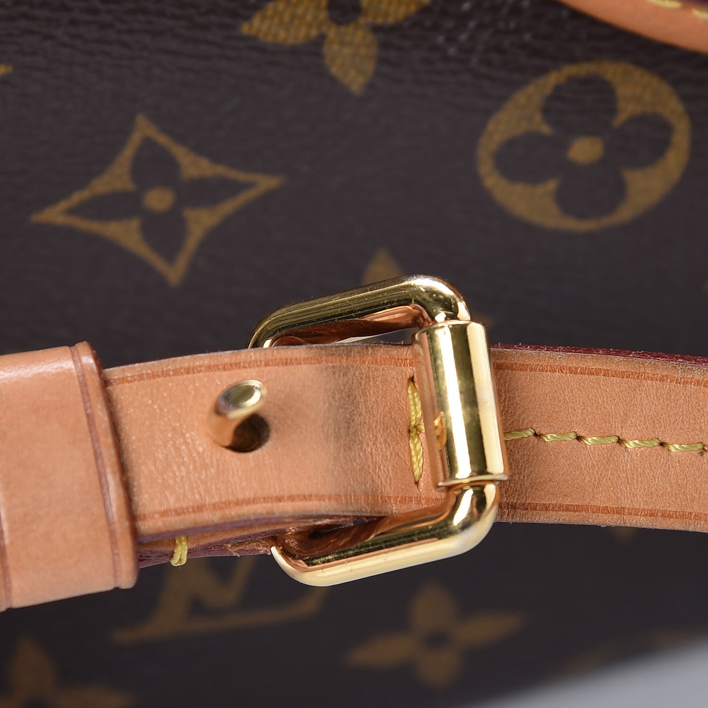 Monogram Turenne PM