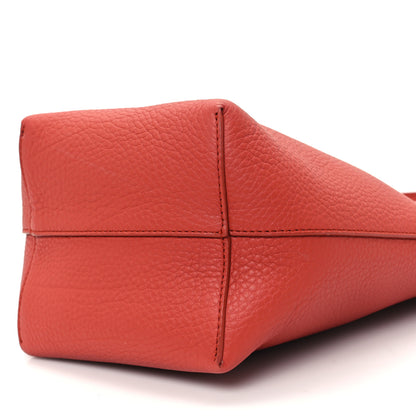 The Row Grained Calfskin Small N/S Park Tote Rust 9 of 9