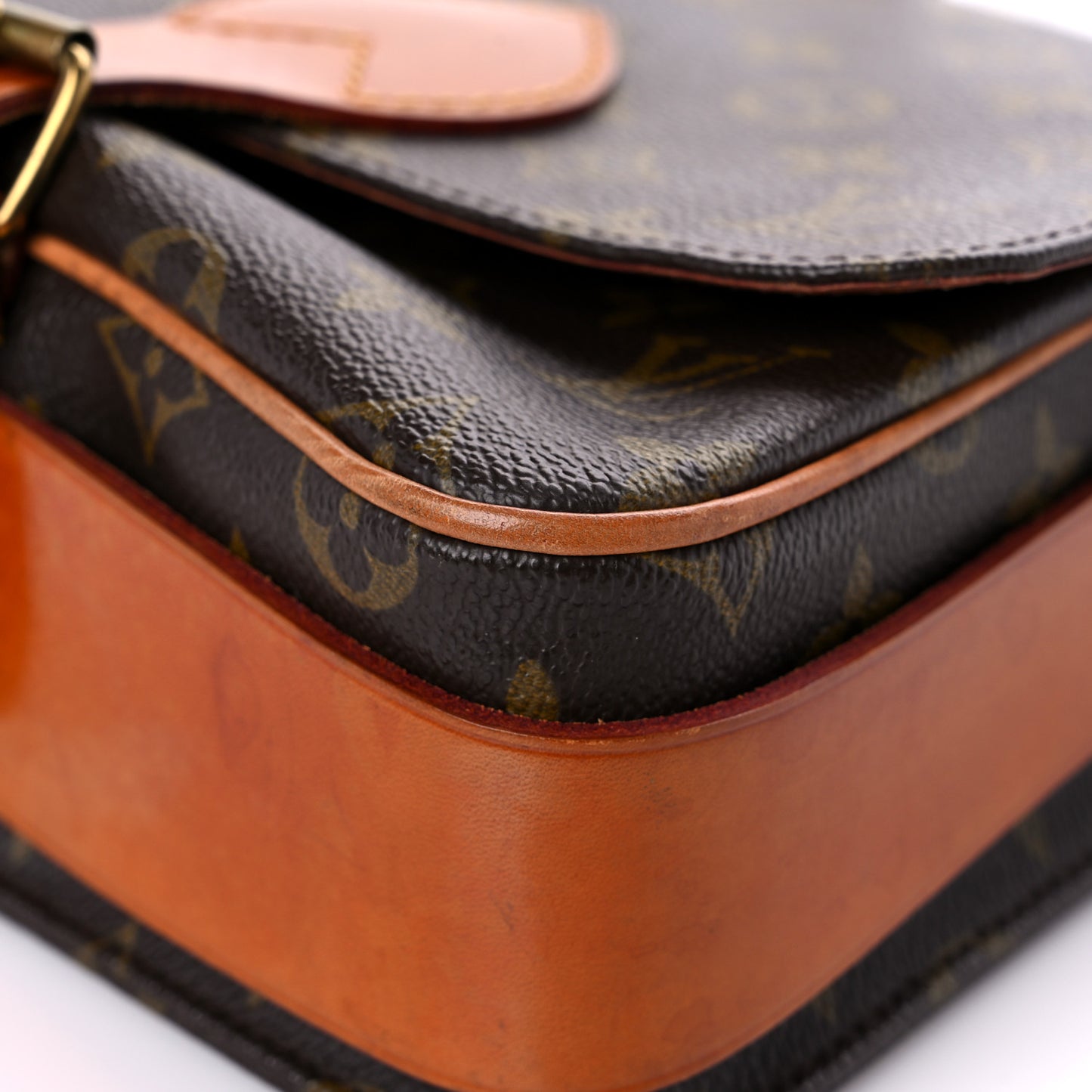 Monogram Cartouchiere 22