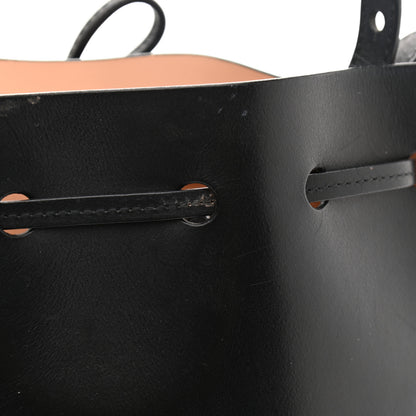Mansur Gavriel Calfskin Mini Bucket Bag Black Ballerina 13 of 15