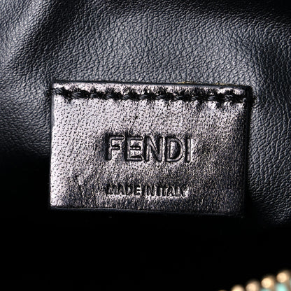 Fendi Nylon Roma Print Large Cosmetic Pouch Tiffany Multicolor 6 of 11