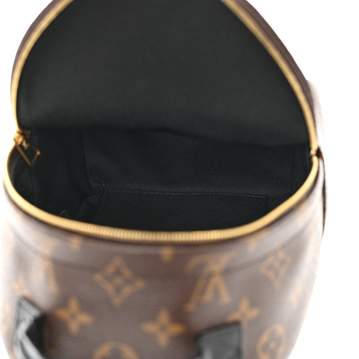 Monogram Palm Springs Backpack Mini