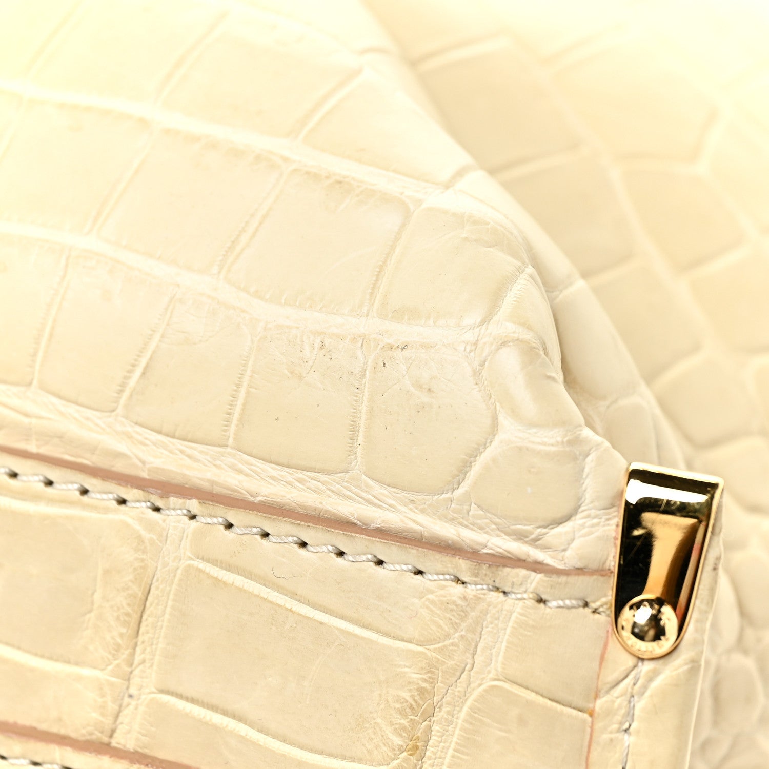 Louis Vuitton Crocodile Sac Louis Beige 7 of 21