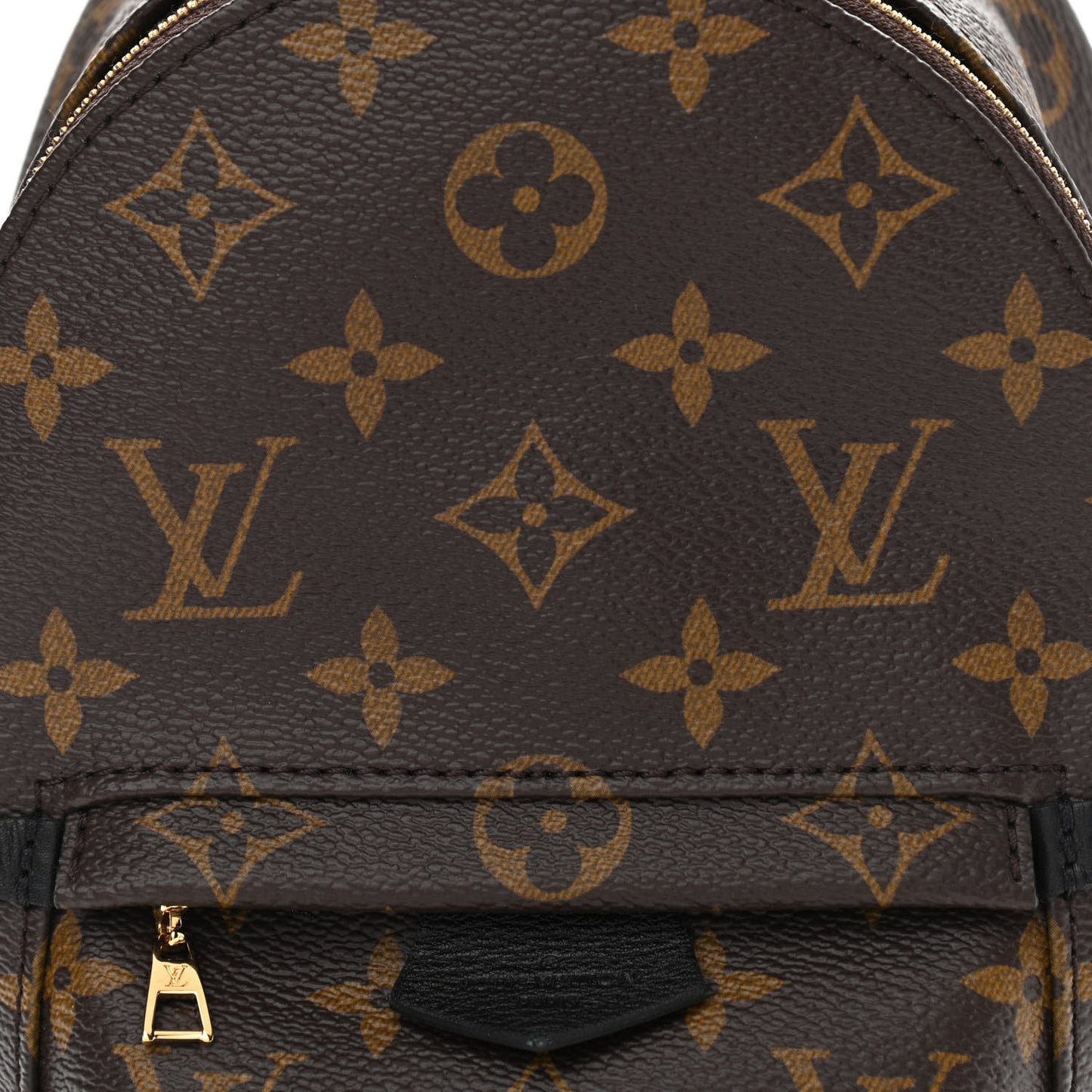 Monogram Palm Springs Backpack Mini
