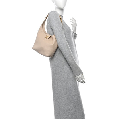 Chanel Shiny Lambskin Quilted Small Hobo Beige 2 of 11