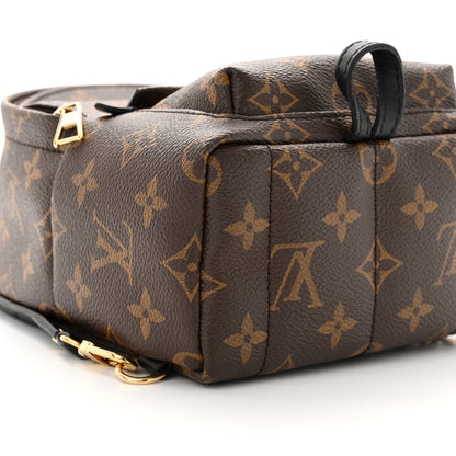 Louis Vuitton Monogram Palm Springs Backpack Mini 9 of 14