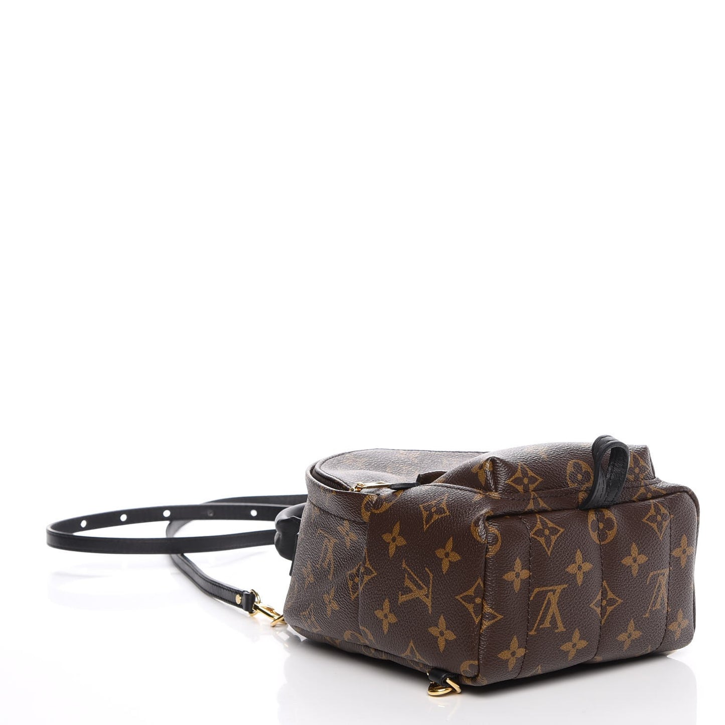 Monogram Palm Springs Backpack Mini