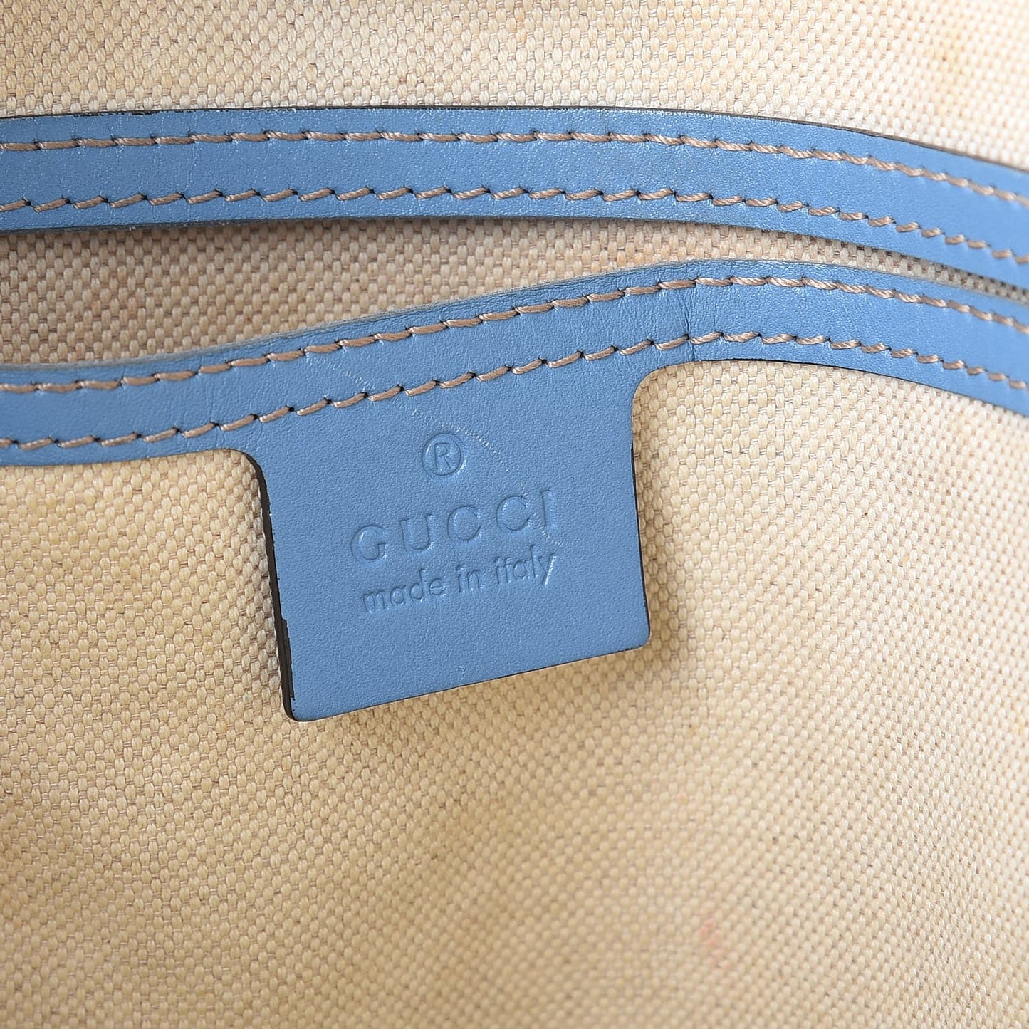 GG Plus Monogram Medium Joy Tote Light Blue