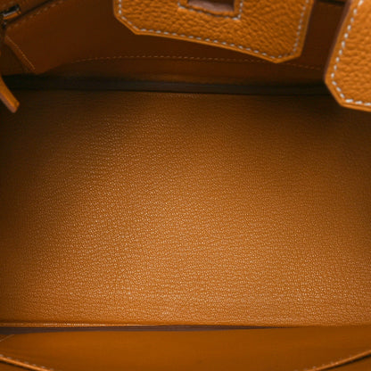 Hermes Togo Birkin 25 Natural Sable 5 of 11