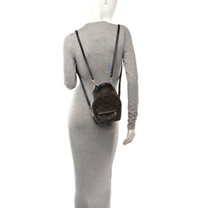 Louis Vuitton Monogram Palm Springs Backpack Mini 2 of 11