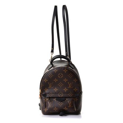 Louis Vuitton Monogram Palm Springs Backpack Mini 1 of 4