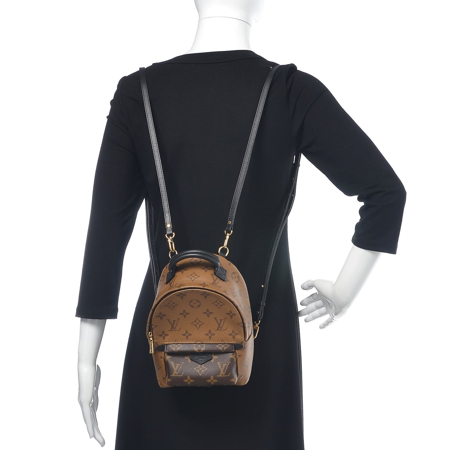 Reverse Monogram Palm Springs Backpack Mini