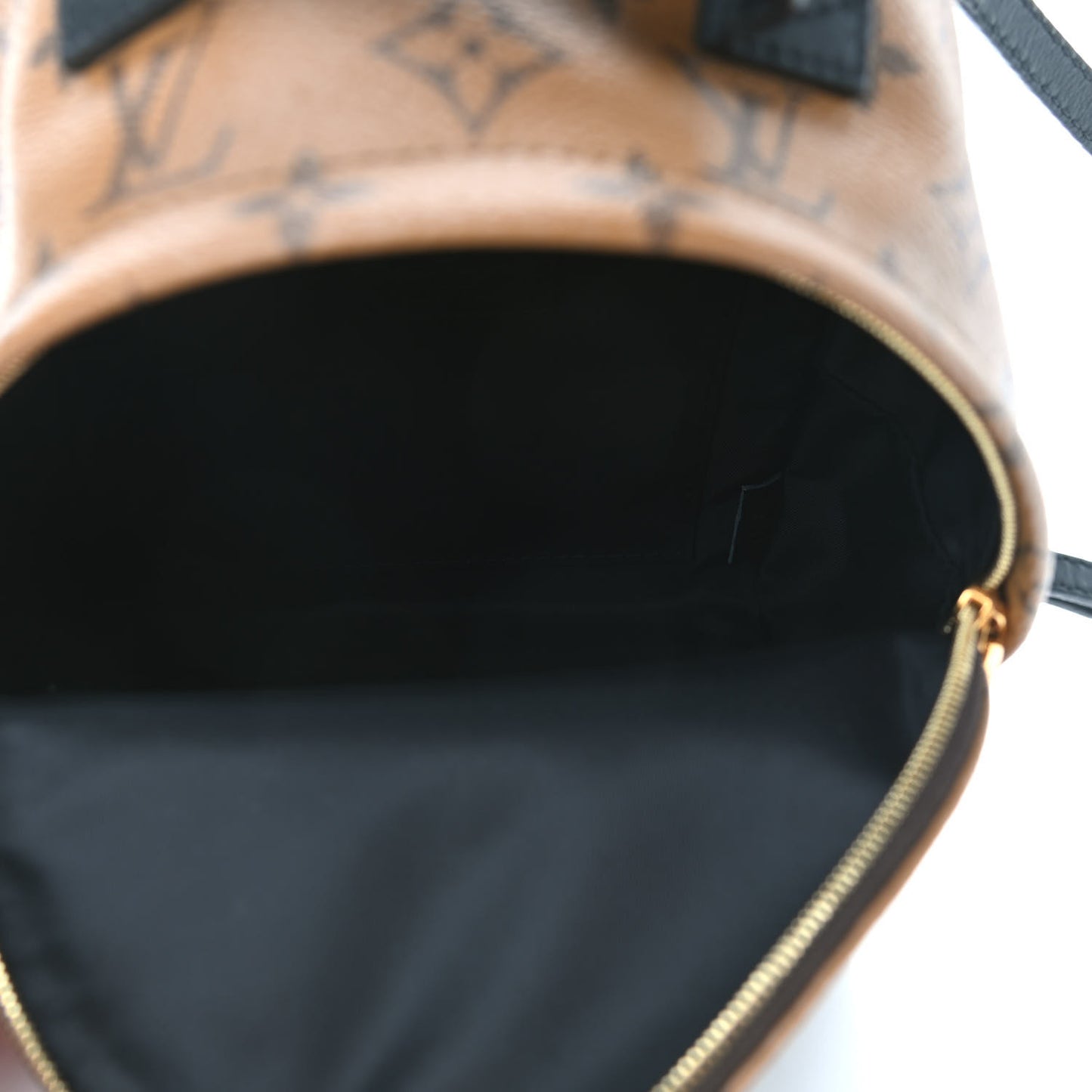 Reverse Monogram Palm Springs Backpack Mini
