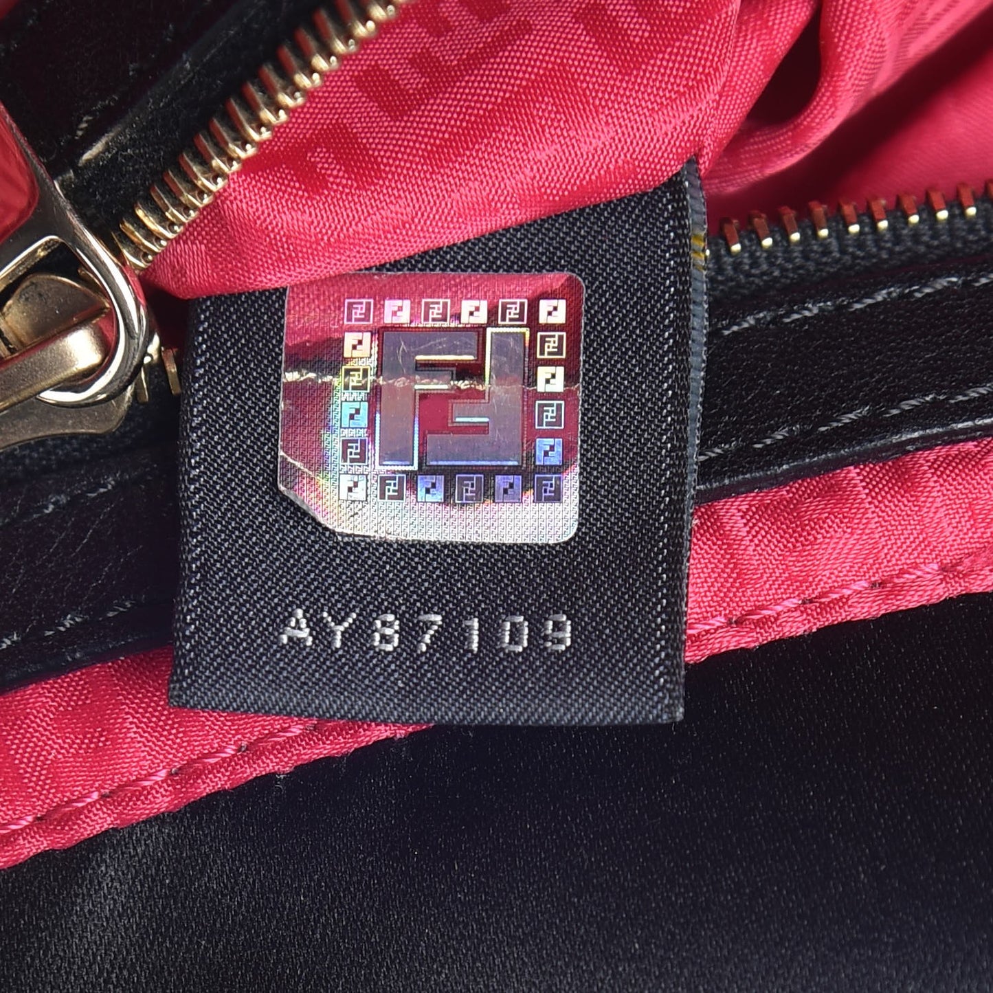 Nylon FF Multicolor Embroidered Baguette Multicolor