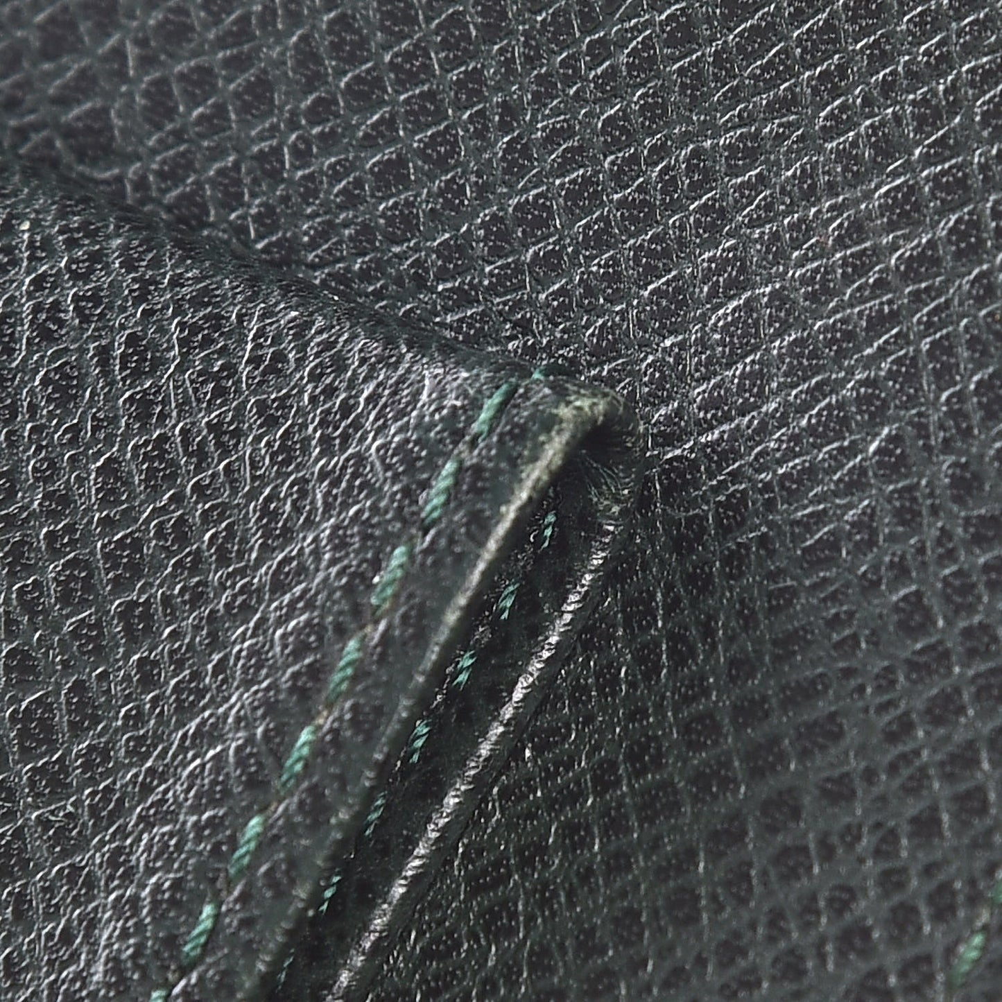 Taiga Etui Case Epicea