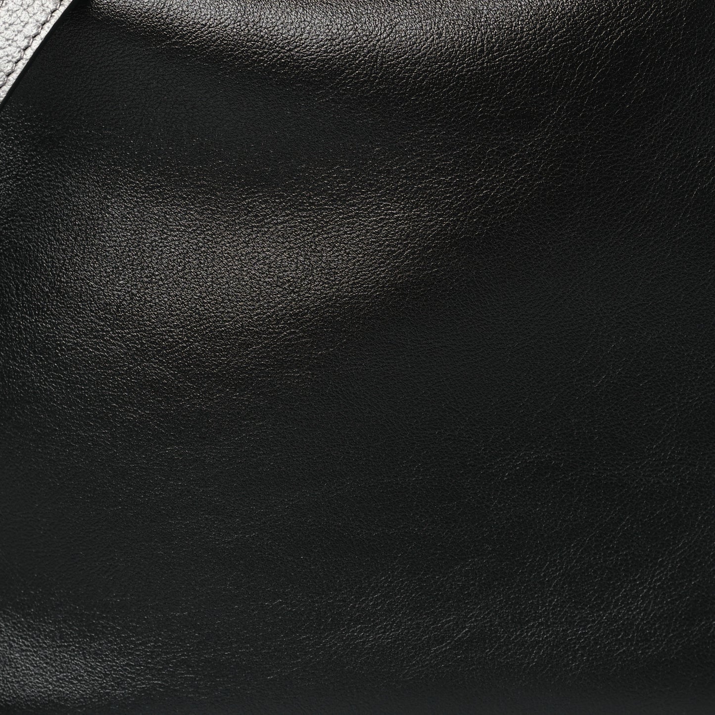 Softy Wonka Textured Dollar Calfskin Medium Diana Shoulder Bag Black Dusty Grey