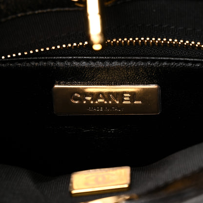 Chanel Shiny Lambskin Pony Hair Cheetah Printed Mini 31 Shopping Bag Light Beige Black 6 of 11