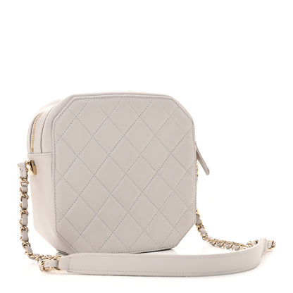 Chanel Calfskin Quilted CC Stitched Crossbody Camera Case Light Grey 3 of 10