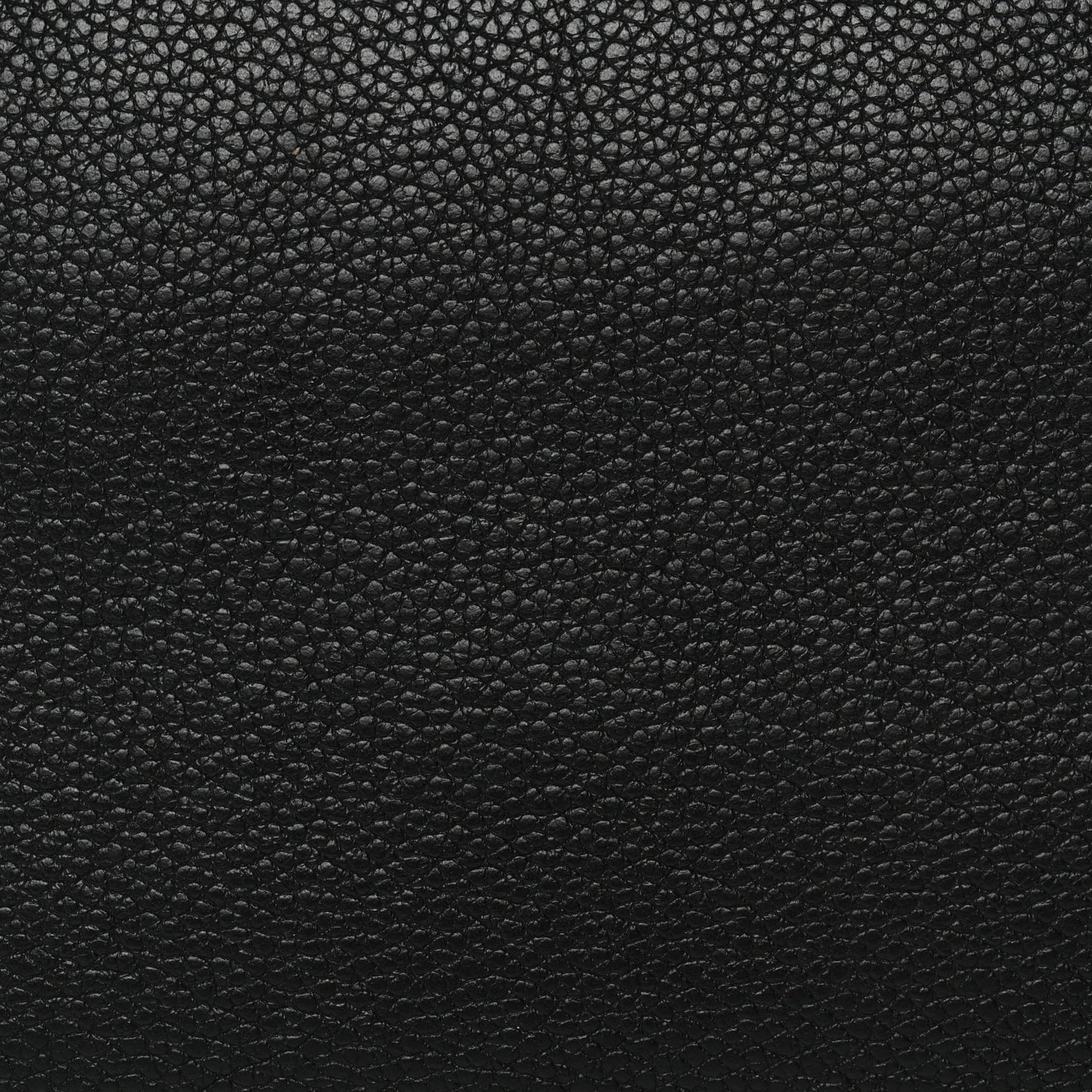 Empreinte Monogram Giant Broderies Neverfull MM Black