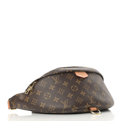 Louis Vuitton Monogram Bumbag 4 of 14