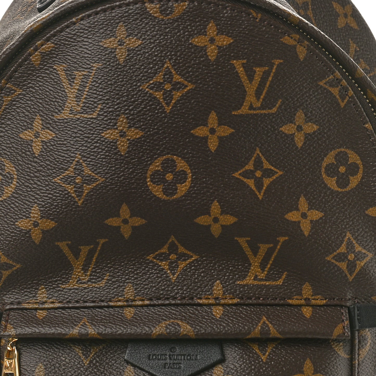 Monogram Palm Springs Backpack PM
