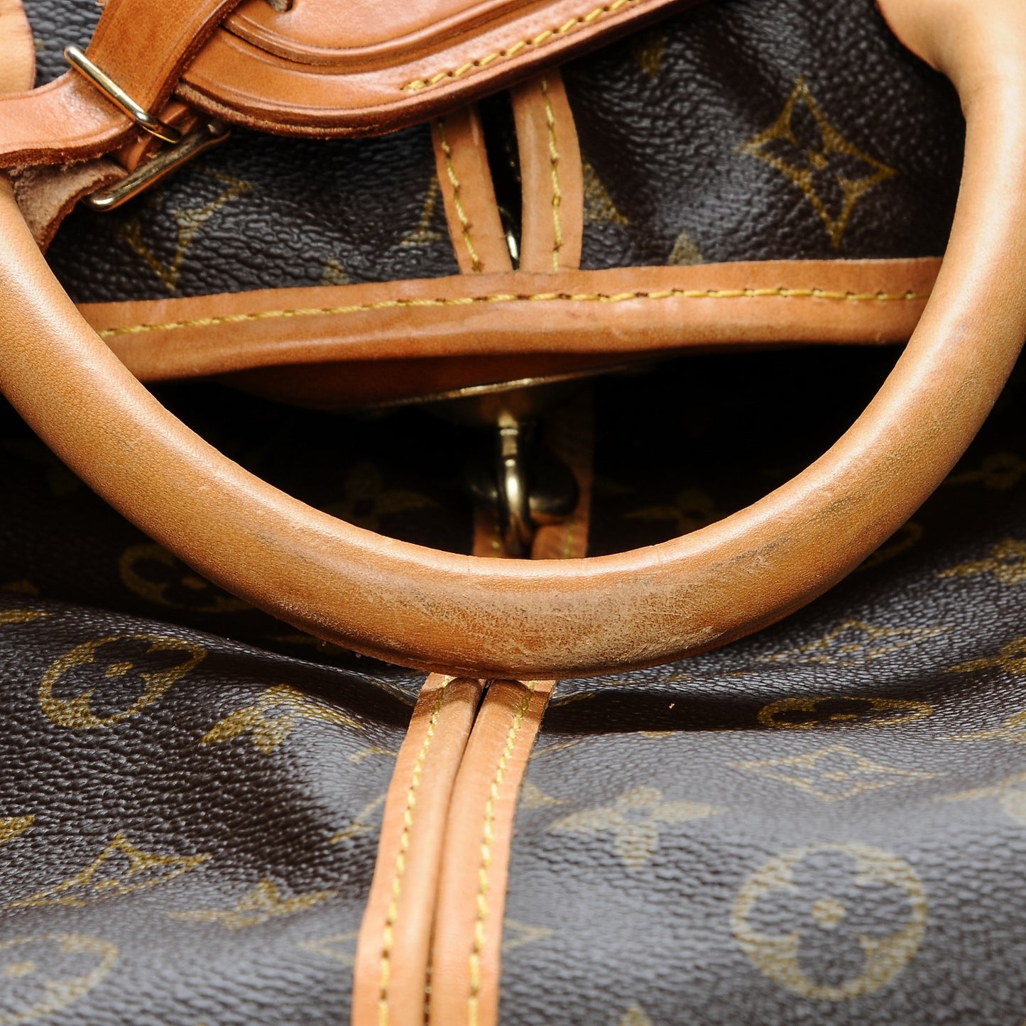 Monogram Garment Bag