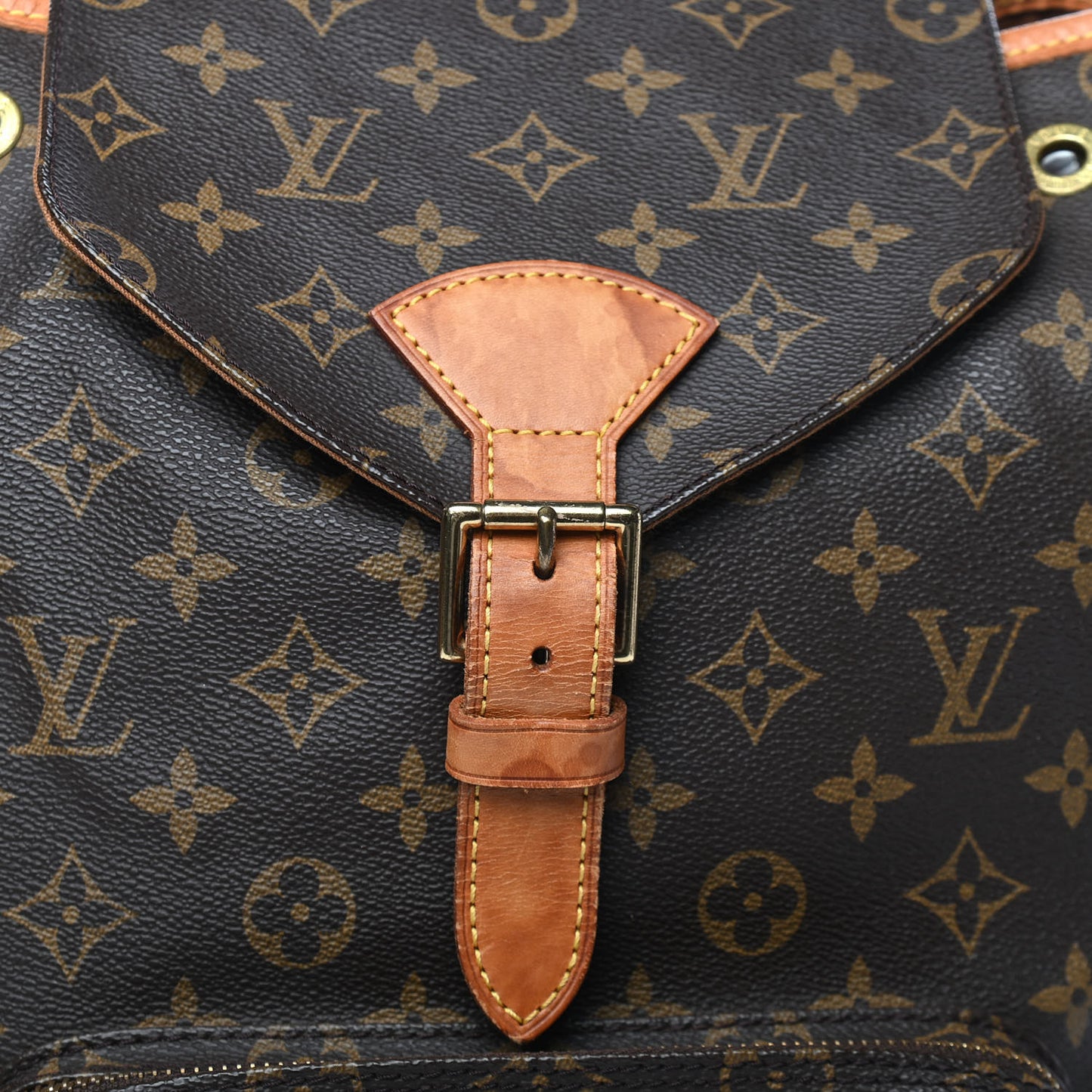 Monogram Montsouris GM Backpack