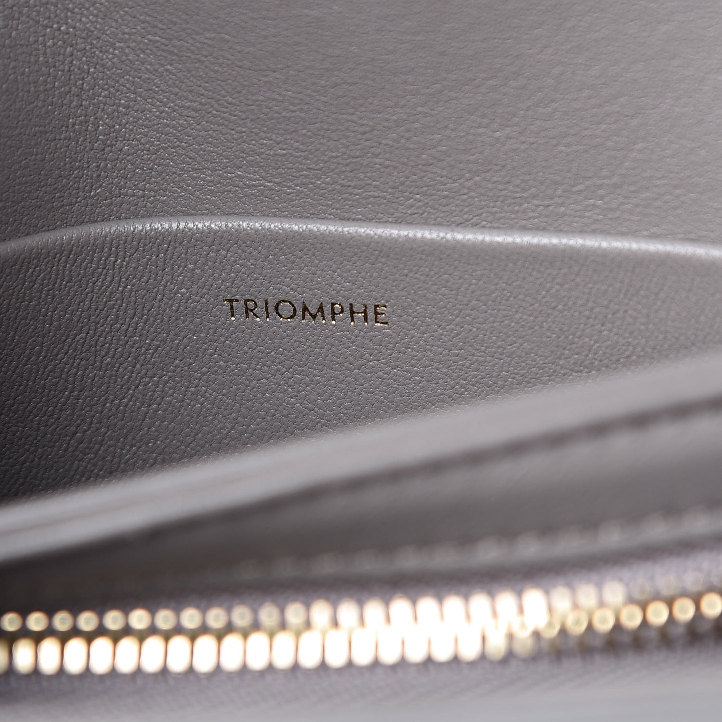 Shiny Calfskin Small Triomphe Pebble
