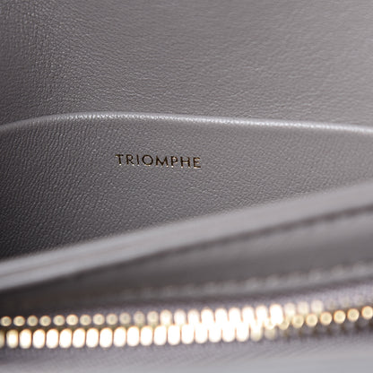 Celine Shiny Calfskin Small Triomphe Pebble 8 of 10