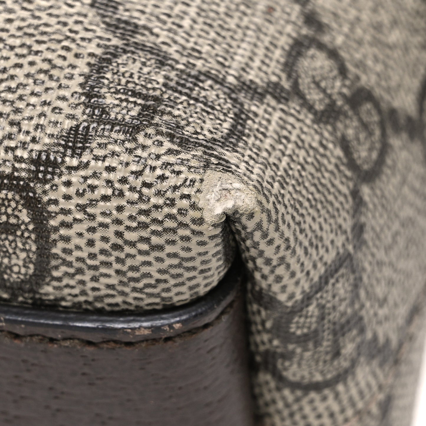 GG Supreme Monogram Textured Dollar Calfskin Web Small Ophidia Dome Shoulder Bag Beige Ebony New Acero