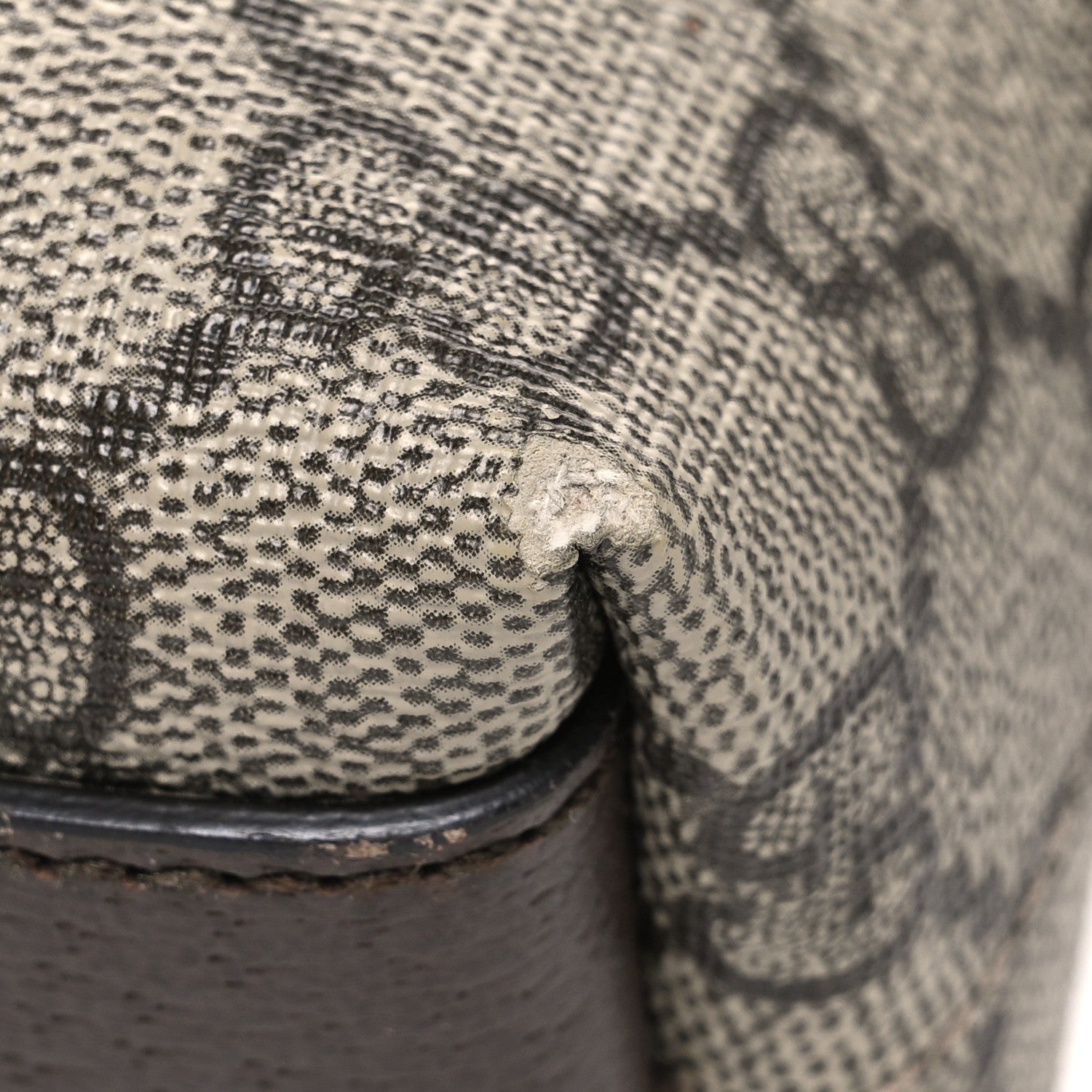 Gucci GG Supreme Monogram Textured Dollar Calfskin Web Small Ophidia Dome Shoulder Bag Beige Ebony New Acero 10 of 10