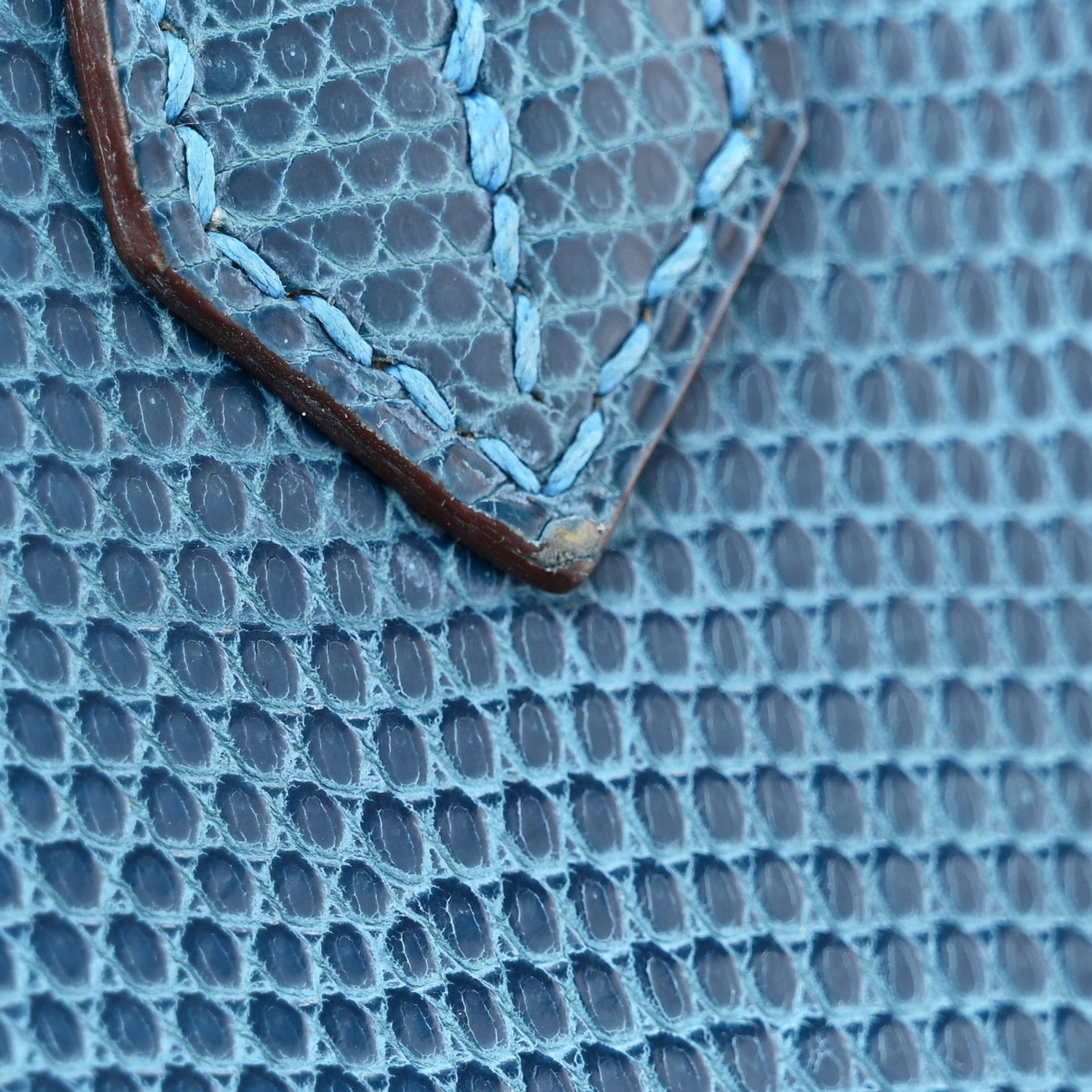 Hermes Lizard Birkin 25 Mykonos 18 of 20