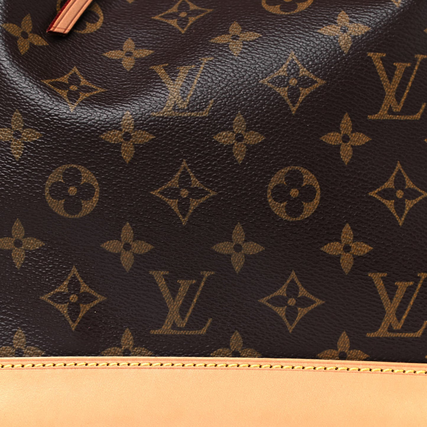 Monogram Petit Noe NM
