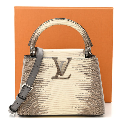 Louis Vuitton Lizard Ombre Capucines Mini Natural 10 of 10