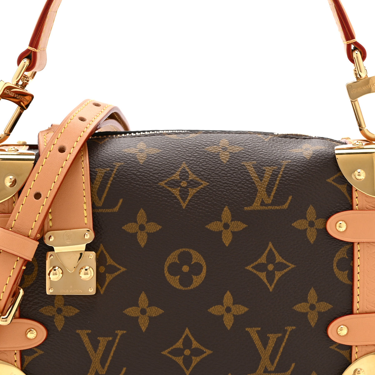 Monogram Side Trunk PM
