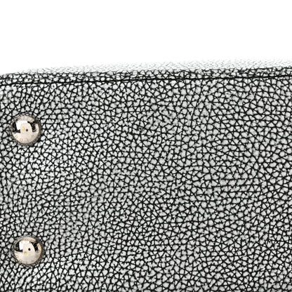 Louis Vuitton Taurillon Capucines MM Chrome 11 of 11