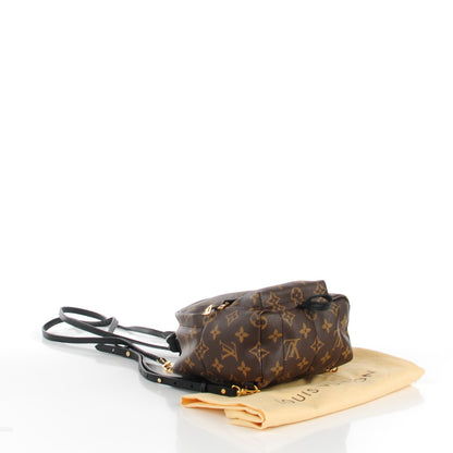 Louis Vuitton Monogram Palm Springs Backpack Mini 4 of 7