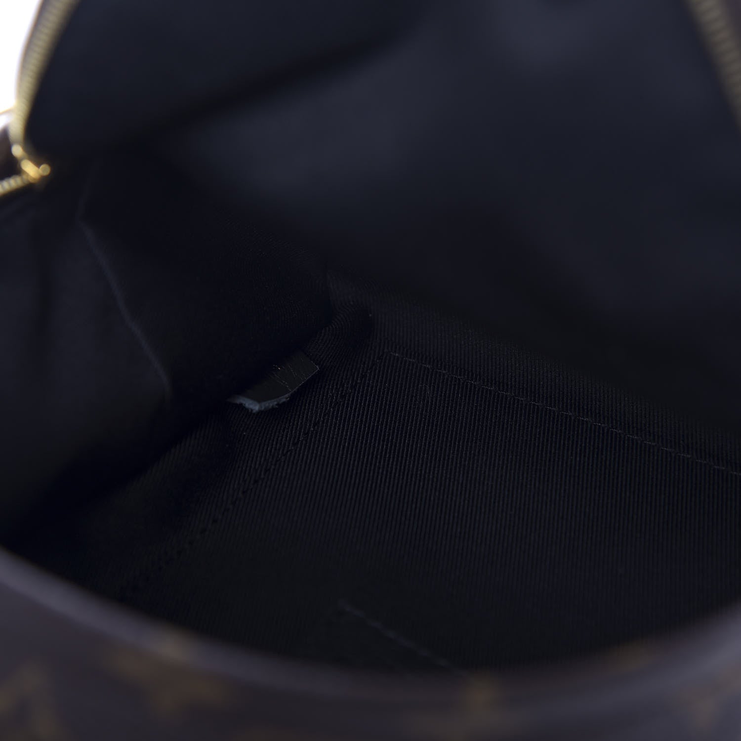 Louis Vuitton Monogram Palm Springs Backpack Mini 4 of 10