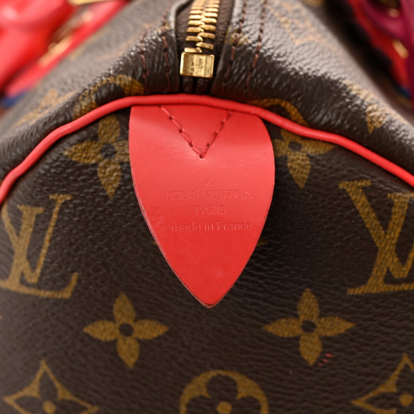 Monogram Totem Speedy 30 Flamingo