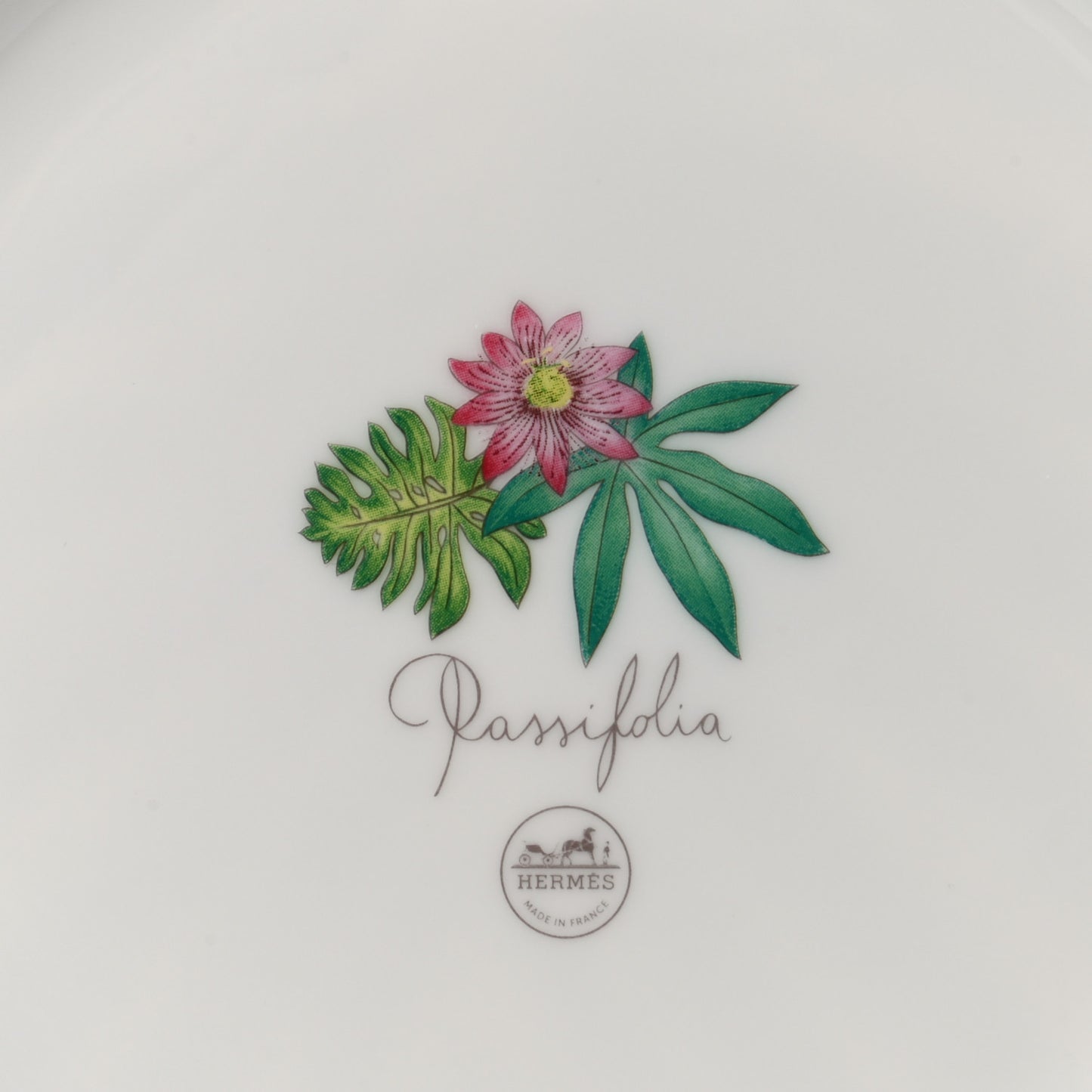 Porcelain Passifolia Dinner Plate N°2 Set of 2