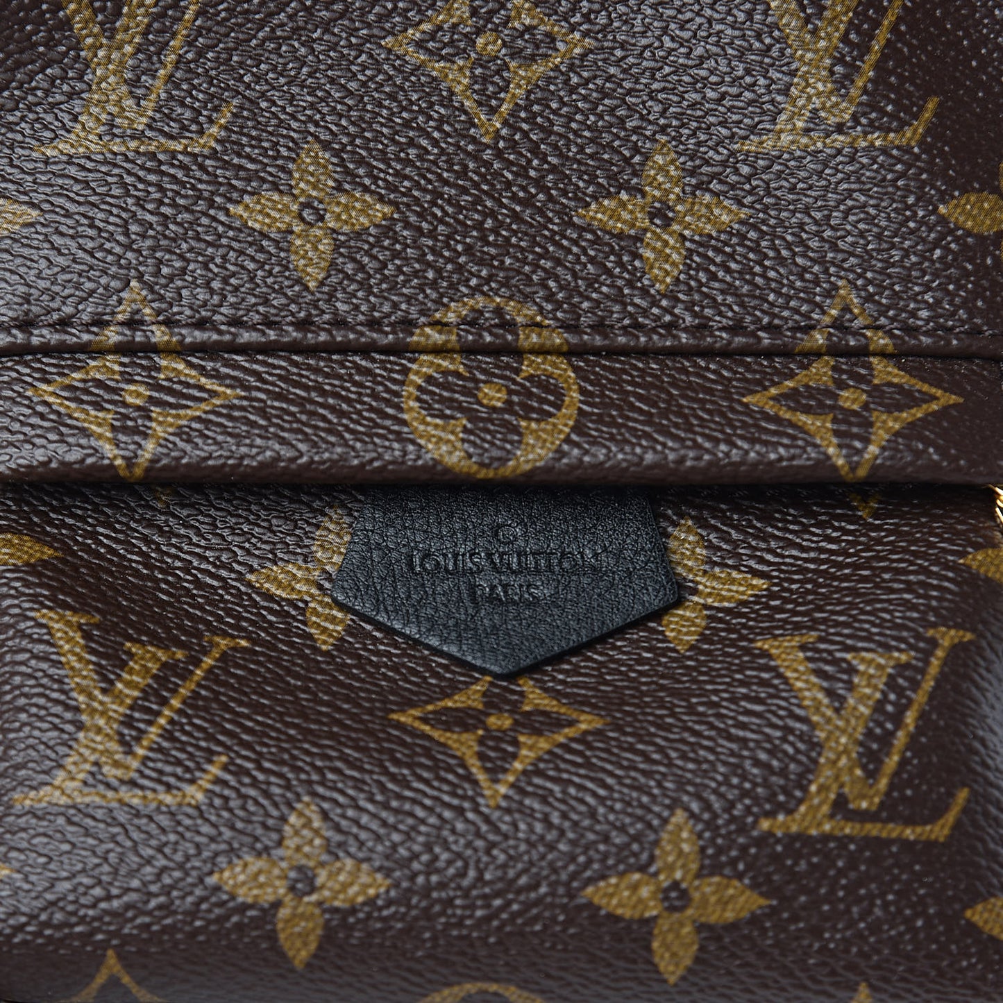 Monogram Palm Springs Backpack Mini